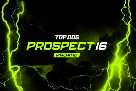 Top Dog: Prospect 16